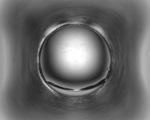 X0000087051335200704181229