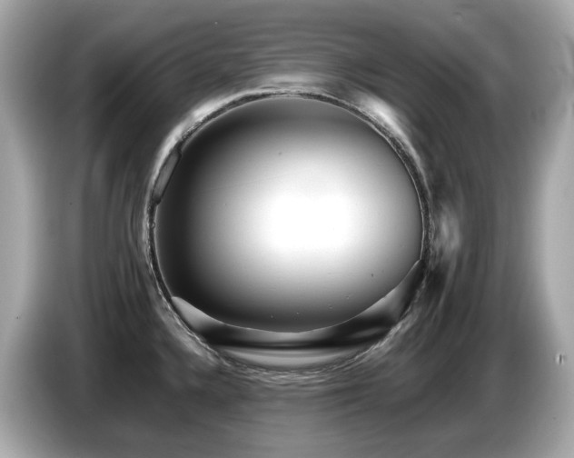X0000087051336200704181229