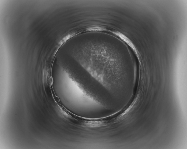 X0000087051337200704181229