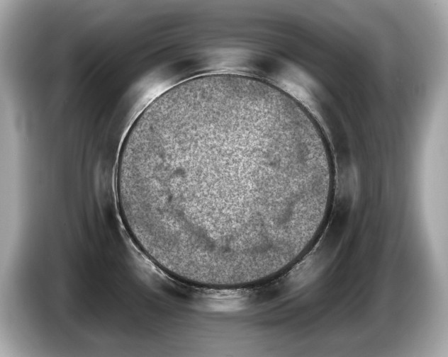 X0000087051338200704181229