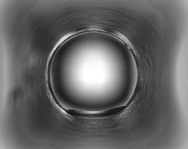 X0000087051339200704181229
