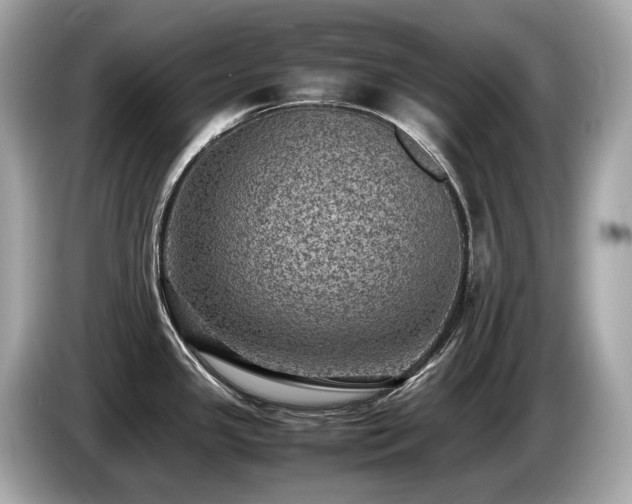 X0000087051341200704181229