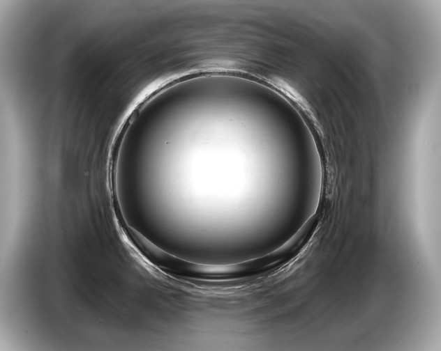 X0000087051342200704181229