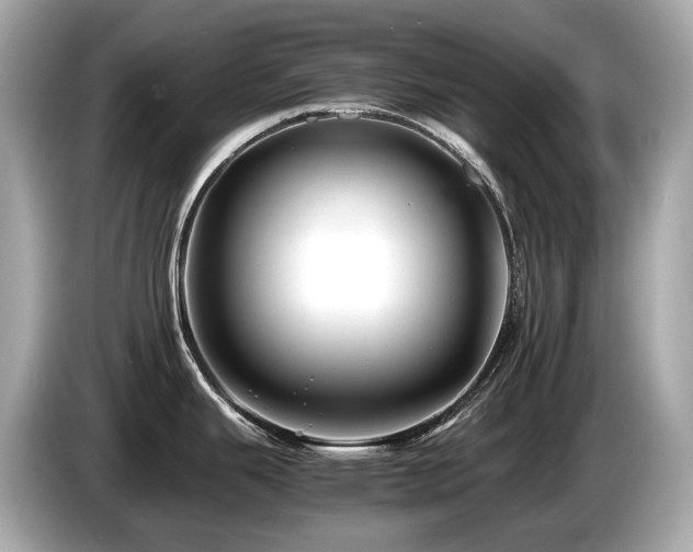 X0000087051343200704181229
