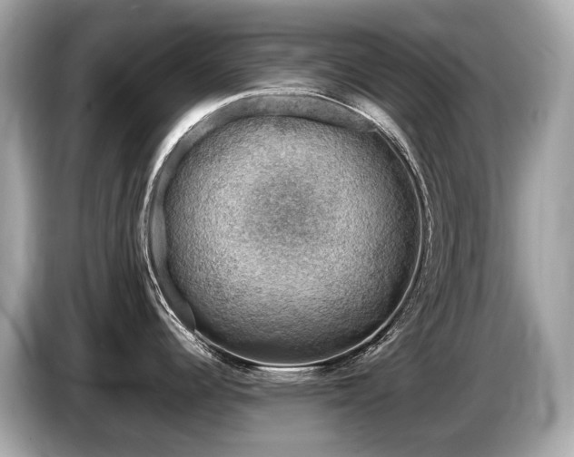 X0000087051344200704181229