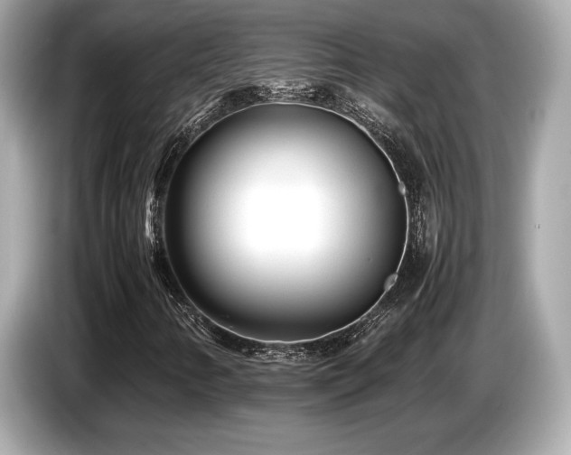 X0000087051346200704181228