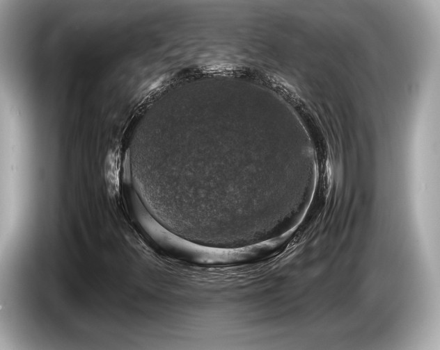 X0000087051348200704181228