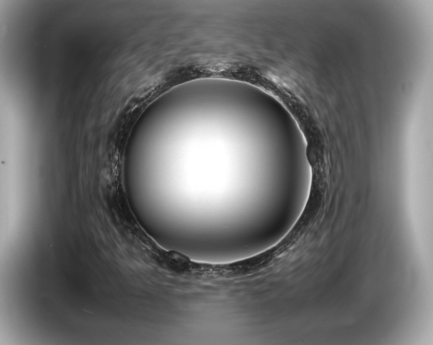 X0000087051349200704181228