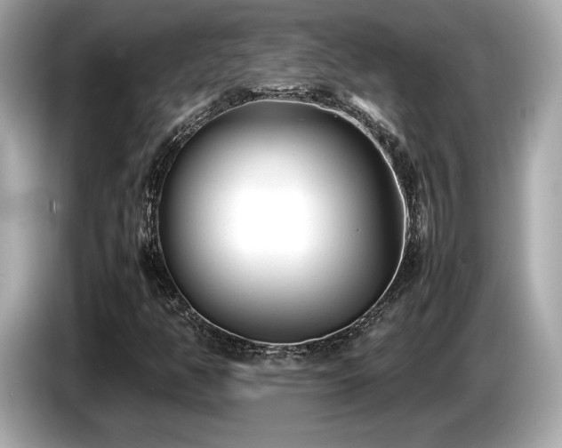 X0000087051350200704181228
