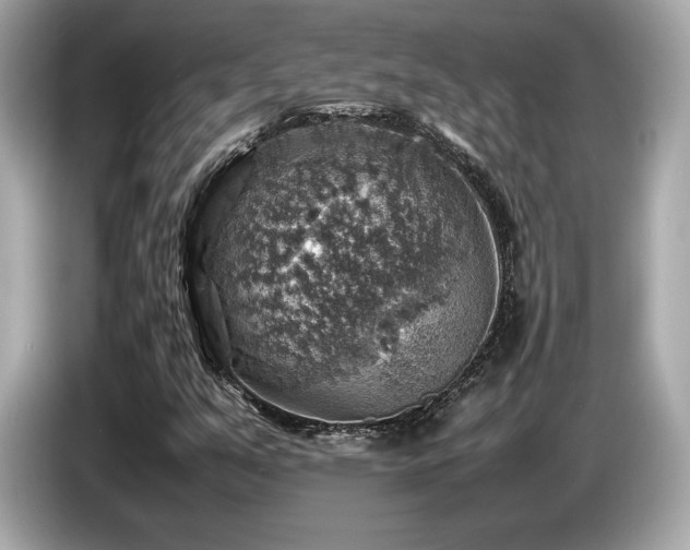 X0000087051351200704181228