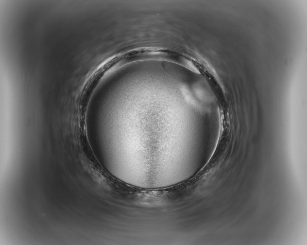 X0000087051352200704181228