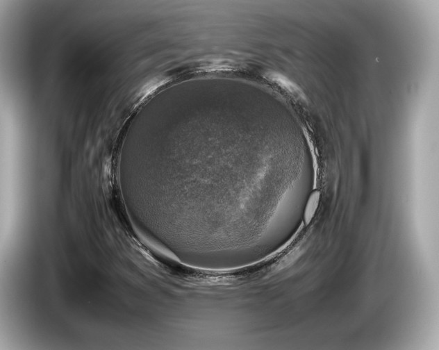 X0000087051353200704181228