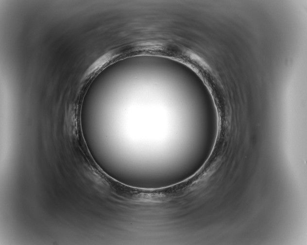 X0000087051354200704181228
