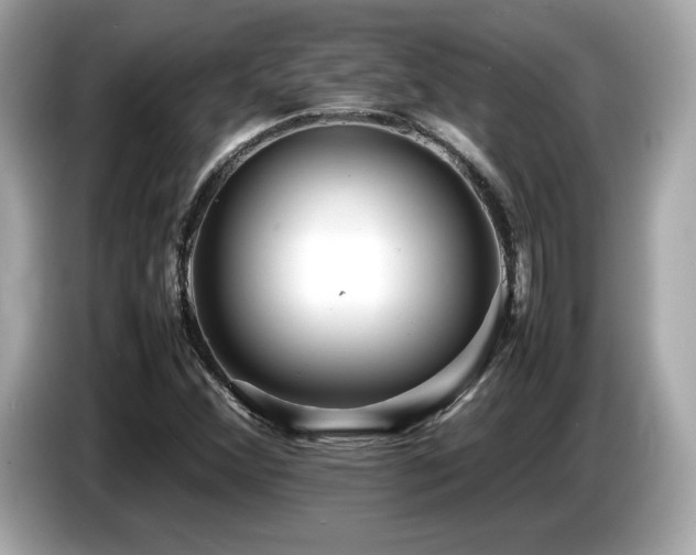 X0000087051356200704181228
