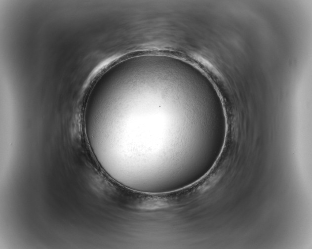 X0000087051358200704181228