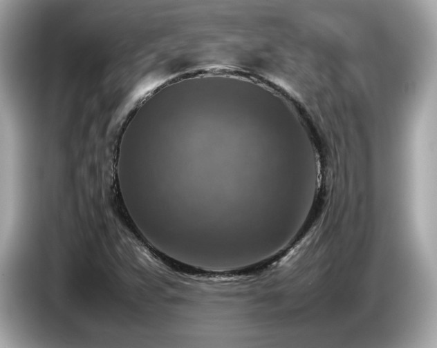 X0000087051359200704181228