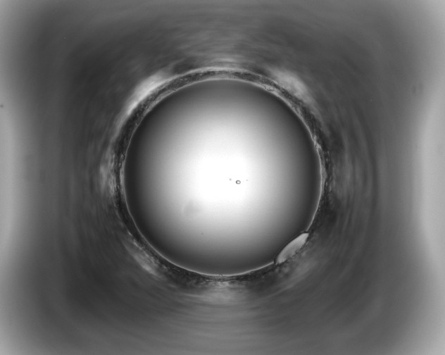 X0000087051360200704181228