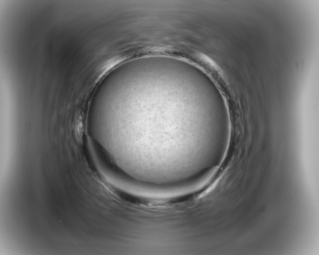 X0000087051361200704181228