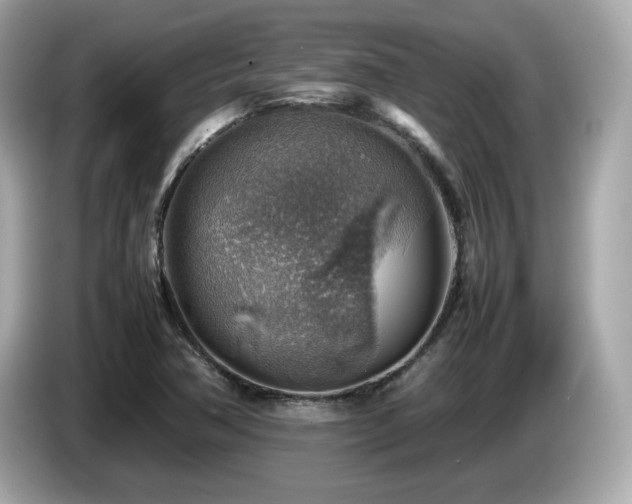 X0000087051362200704181228