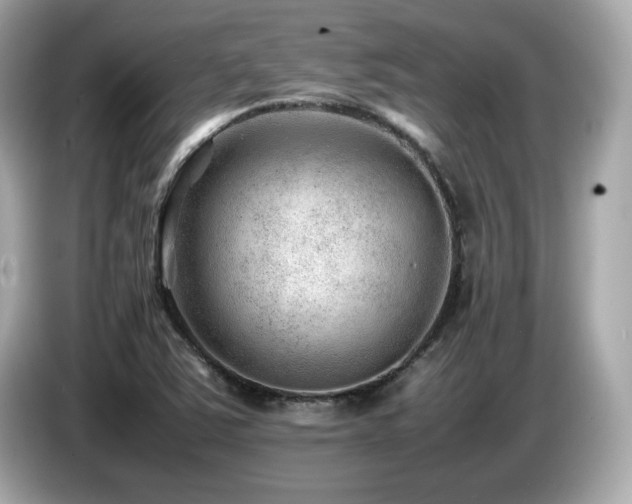 X0000087051363200704181228