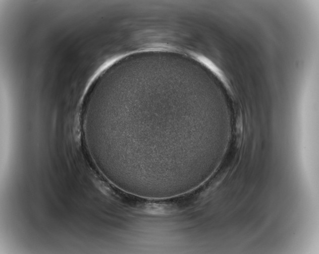 X0000087051364200704181228