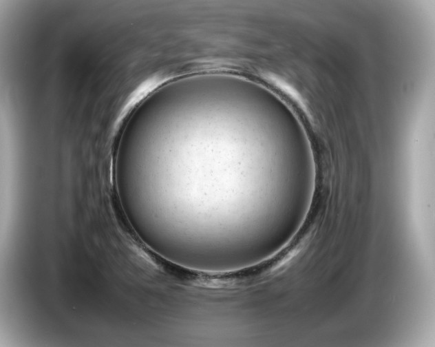 X0000087051365200704181228