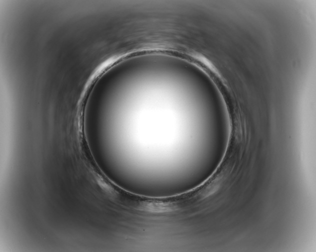 X0000087051366200704181228