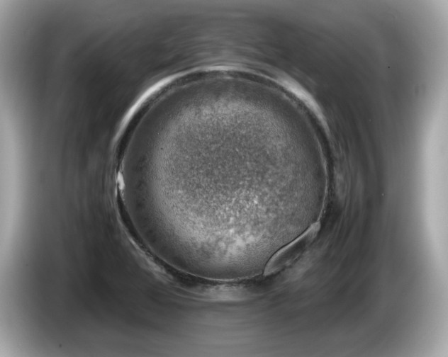 X0000087051368200704181228