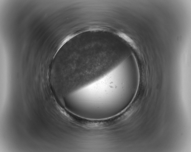 X0000087051369200704181228