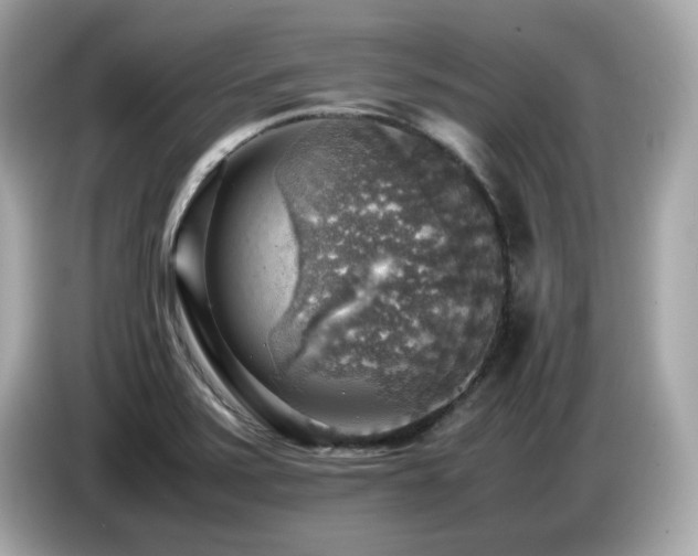 X0000087051371200704181228