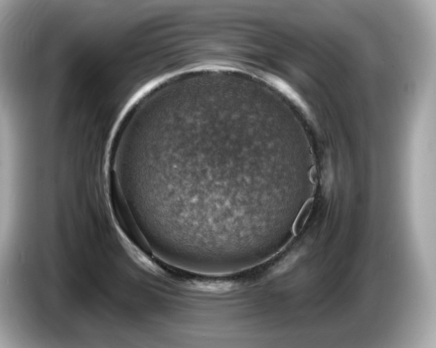 X0000087051372200704181228