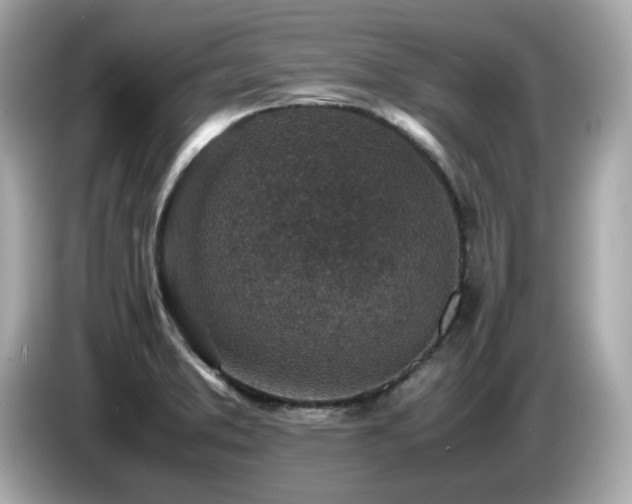 X0000087051373200704181228