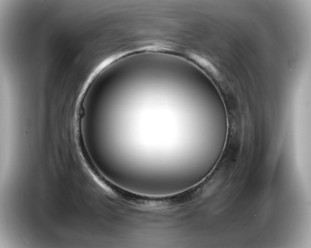 X0000087051375200704181228