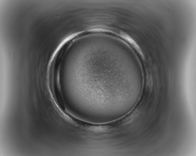 X0000087051376200704181228