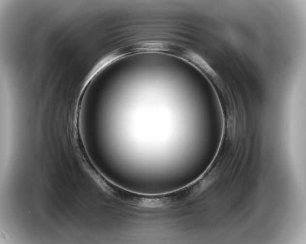 X0000087051378200704181228