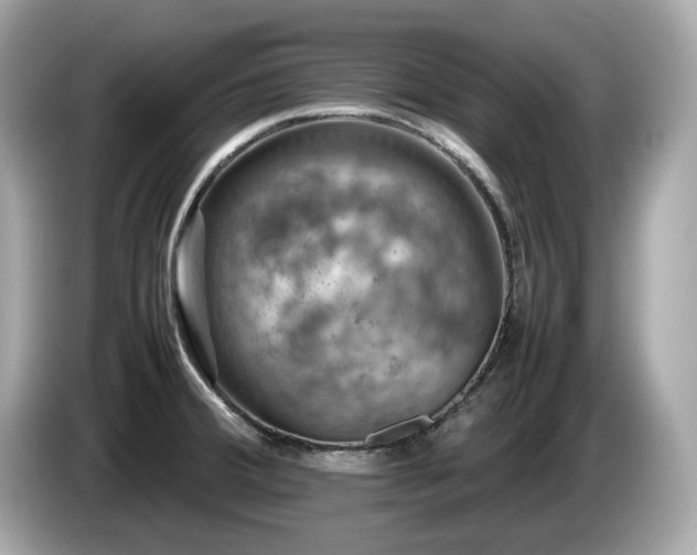 X0000087051380200704181228