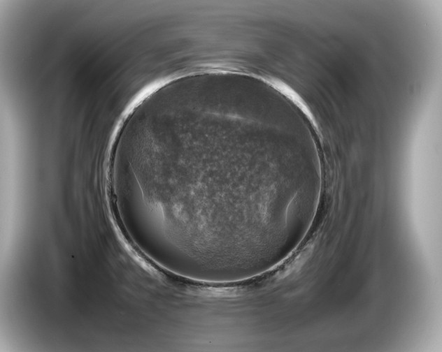 X0000087051381200704181228
