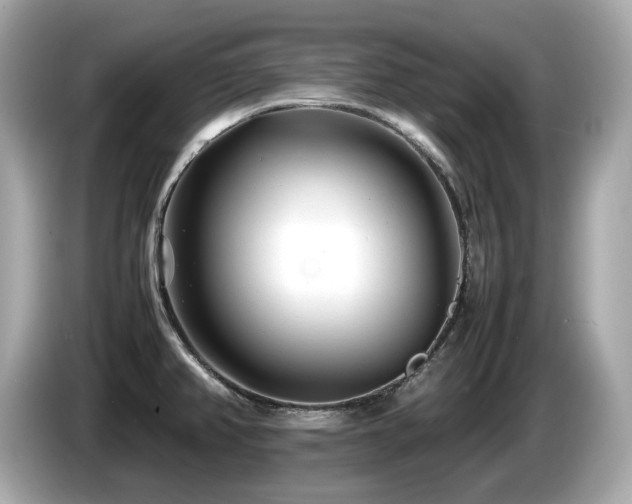 X0000087051382200704181227