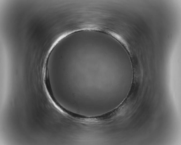 X0000087051383200704181227