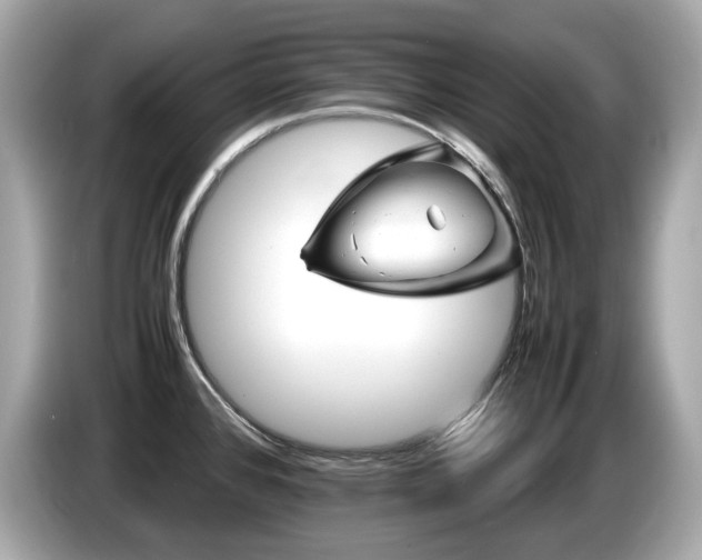 X0000087051384200704181227