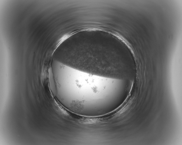X0000087051385200704181227