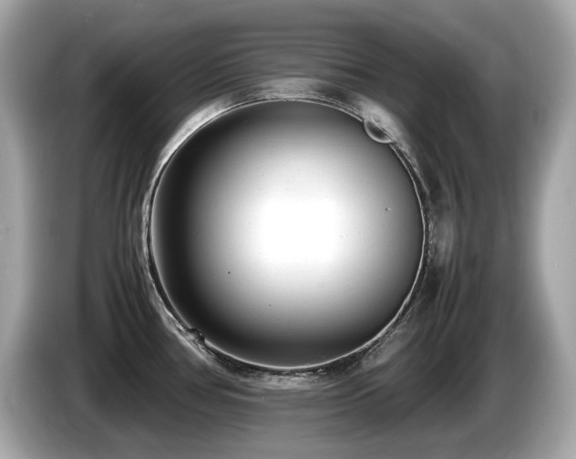 X0000087051386200704181227