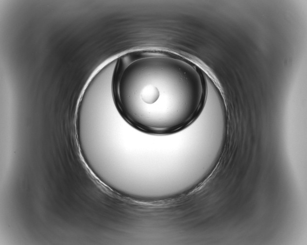 X0000087051388200704181227