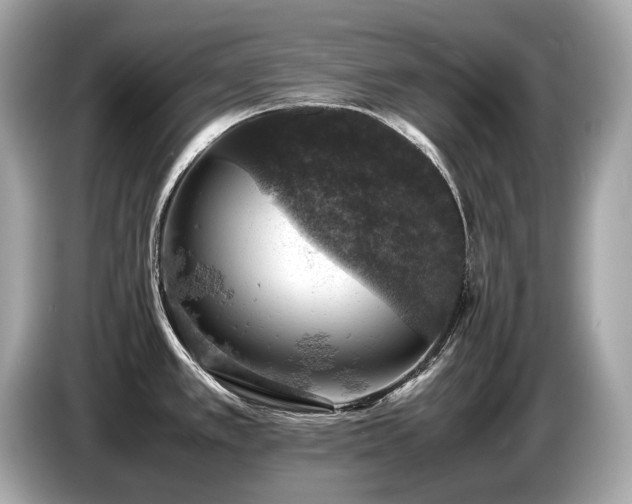 X0000087051389200704181227