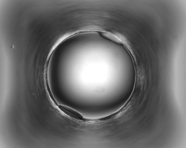 X0000087051390200704181227