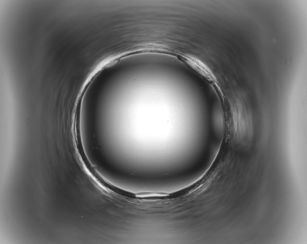 X0000087051391200704181227