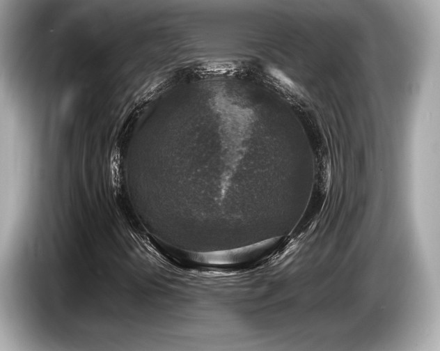 X0000087051394200704181227
