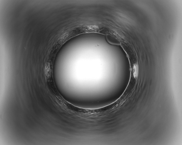 X0000087051395200704181227