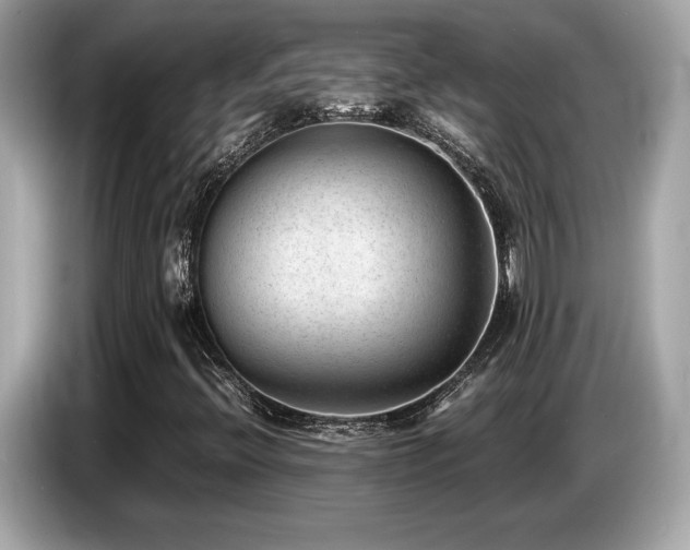 X0000087051396200704181227