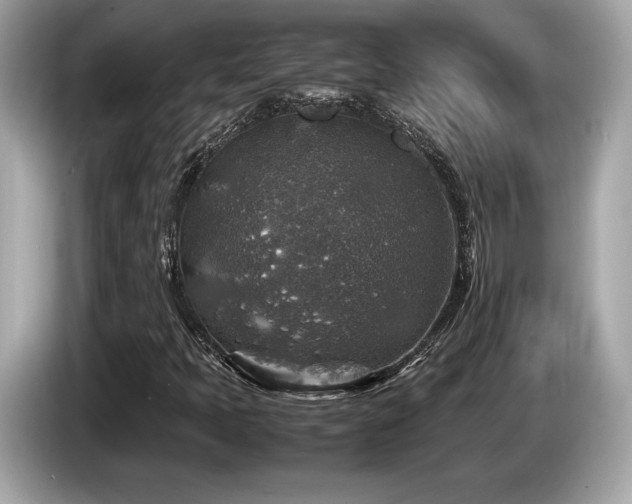 X0000087051397200704181227